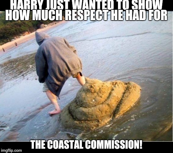 The beach guy | HARRY JUST WANTED TO SHOW HOW MUCH RESPECT HE HAD FOR; THE COASTAL COMMISSION! | image tagged in the beach guy | made w/ Imgflip meme maker