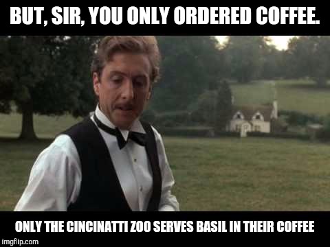 BUT, SIR, YOU ONLY ORDERED COFFEE. ONLY THE CINCINATTI ZOO SERVES BASIL IN THEIR COFFEE | made w/ Imgflip meme maker