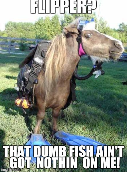 Beach | FLIPPER? THAT DUMB FISH AIN'T GOT  NOTHIN  ON ME! | image tagged in beach | made w/ Imgflip meme maker