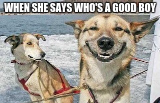 Original Stoner Dog | WHEN SHE SAYS WHO'S A GOOD BOY | image tagged in memes,original stoner dog | made w/ Imgflip meme maker