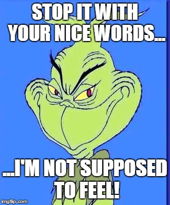Good Grinch | STOP IT WITH YOUR NICE WORDS... ...I'M NOT SUPPOSED TO FEEL! | image tagged in good grinch | made w/ Imgflip meme maker