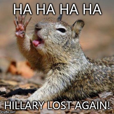 Squirrel Dab | HA HA HA HA; HILLARY LOST AGAIN! | image tagged in hillary clinton,lost,again | made w/ Imgflip meme maker