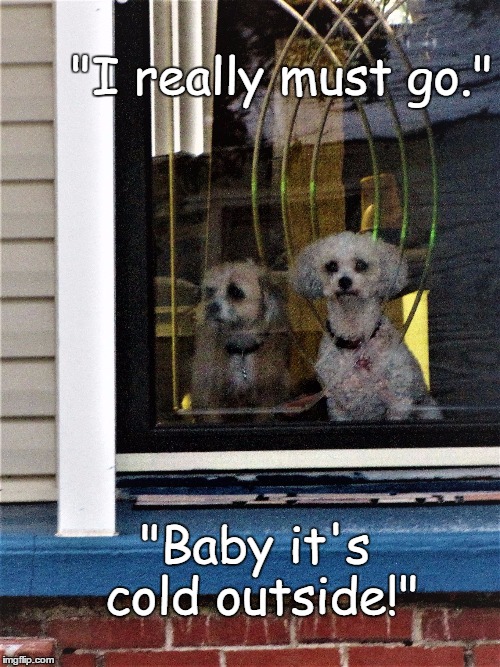 funny dogs | "I really must go."; "Baby it's cold outside!" | image tagged in funny dogs | made w/ Imgflip meme maker