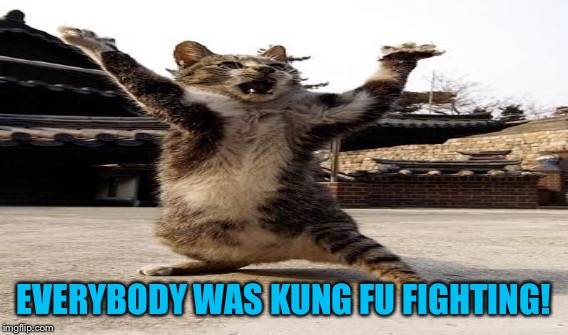 EVERYBODY WAS KUNG FU FIGHTING! | made w/ Imgflip meme maker