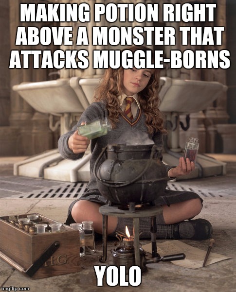 Hermione Granger | MAKING POTION RIGHT ABOVE A MONSTER THAT ATTACKS MUGGLE-BORNS; YOLO | image tagged in hermione granger | made w/ Imgflip meme maker