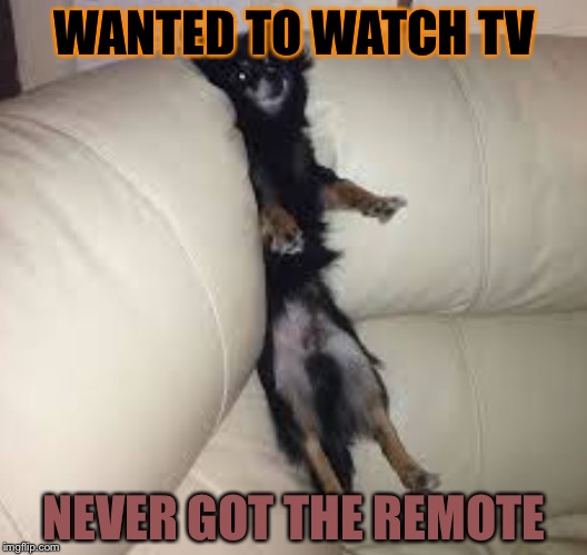 Stuck | WANTED TO WATCH TV; NEVER GOT THE REMOTE | image tagged in funny | made w/ Imgflip meme maker