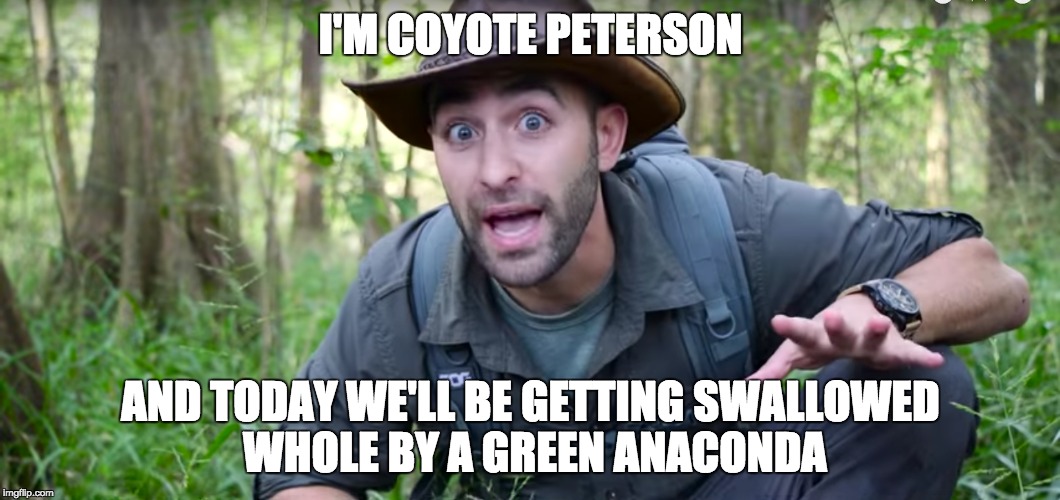 I'm Coyote peterson | I'M COYOTE PETERSON; AND TODAY WE'LL BE GETTING SWALLOWED WHOLE BY A GREEN ANACONDA | image tagged in nature,survival | made w/ Imgflip meme maker