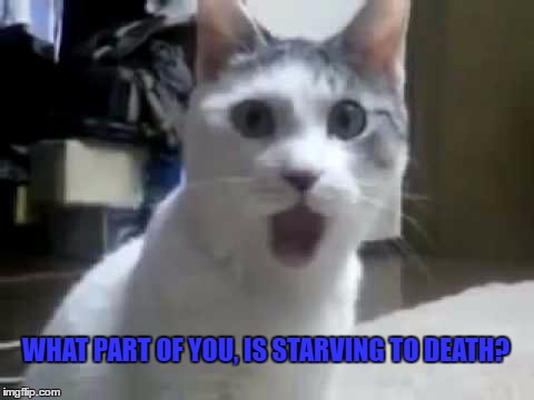 WHAT PART OF YOU, IS STARVING TO DEATH? | made w/ Imgflip meme maker