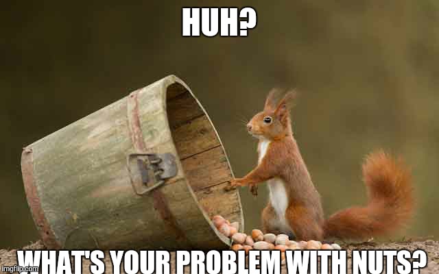 HUH? WHAT'S YOUR PROBLEM WITH NUTS? | made w/ Imgflip meme maker