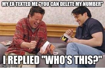 Haha Get It | MY EX TEXTED ME "YOU CAN DELETE MY NUMBER"; I REPLIED "WHO'S THIS?" | image tagged in comedy,funny memes | made w/ Imgflip meme maker