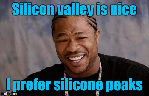 Yo Dawg Heard You | Silicon valley is nice; I prefer silicone peaks | image tagged in memes,yo dawg heard you | made w/ Imgflip meme maker