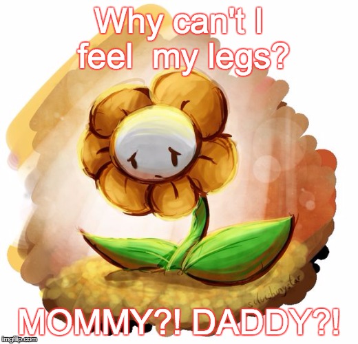 Flowey can't feely. | Why can't I feel  my legs? MOMMY?! DADDY?! | image tagged in flowey,feelings | made w/ Imgflip meme maker