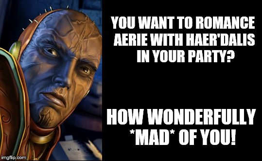 YOU WANT TO ROMANCE AERIE WITH HAER'DALIS  IN YOUR PARTY? HOW WONDERFULLY *MAD* OF YOU! | made w/ Imgflip meme maker