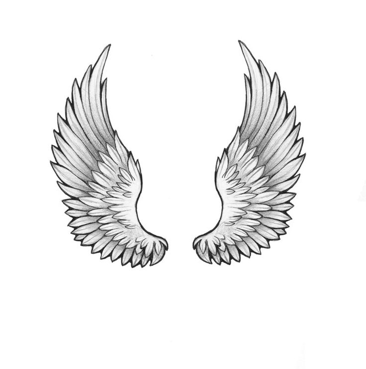 Angel Wings Blank Template - Imgflip