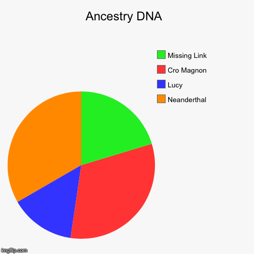 Ancestry DNA | image tagged in funny | made w/ Imgflip chart maker