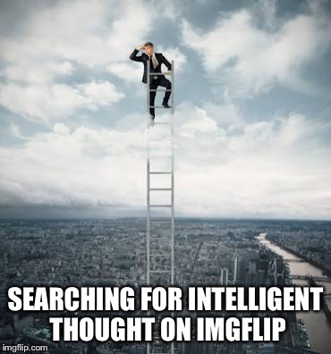 Searching for | SEARCHING FOR INTELLIGENT THOUGHT ON IMGFLIP | image tagged in searching for | made w/ Imgflip meme maker