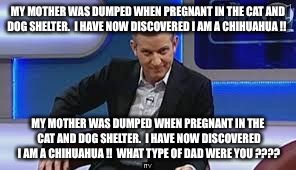 jeremy kyle | MY MOTHER WAS DUMPED WHEN PREGNANT IN THE CAT AND DOG SHELTER. 
I HAVE NOW DISCOVERED I AM A CHIHUAHUA !! MY MOTHER WAS DUMPED WHEN PREGNANT IN THE CAT AND DOG SHELTER. 
I HAVE NOW DISCOVERED I AM A CHIHUAHUA !! 
WHAT TYPE OF DAD WERE YOU ???? | image tagged in jeremy kyle | made w/ Imgflip meme maker
