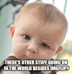 Skeptical Baby Meme | THERE'S OTHER STUFF GOING ON IN THE WORLD BESIDES IMGFLIP? | image tagged in memes,skeptical baby | made w/ Imgflip meme maker