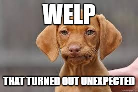 Disappointed Dog | WELP; THAT TURNED OUT UNEXPECTED | image tagged in disappointed dog | made w/ Imgflip meme maker