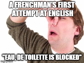 Toilet Perfume | A FRENCHMAN'S FIRST ATTEMPT AT ENGLISH; "EAU, DE TOILETTE IS BLOCKED" | image tagged in this is a tag | made w/ Imgflip meme maker