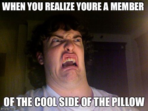 Oh No Meme | WHEN YOU REALIZE YOURE A MEMBER; OF THE COOL SIDE OF THE PILLOW | image tagged in memes,oh no | made w/ Imgflip meme maker