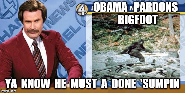 Breaking News | OBAMA   PARDONS  BIGFOOT; YA  KNOW  HE  MUST  A  DONE  'SUMPIN | image tagged in breaking news | made w/ Imgflip meme maker