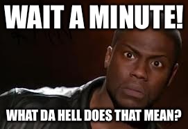 Kevin Hart Meme | WAIT A MINUTE! WHAT DA HELL DOES THAT MEAN? | image tagged in memes,kevin hart the hell | made w/ Imgflip meme maker