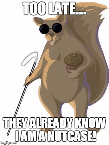 blind squirrel | TOO LATE.... THEY ALREADY KNOW I AM A NUTCASE! | image tagged in blind squirrel | made w/ Imgflip meme maker