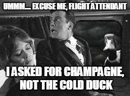 AFLAC | UMMM.... EXCUSE ME, FLIGHT ATTENDANT; I ASKED FOR CHAMPAGNE, NOT THE COLD DUCK | image tagged in aflac | made w/ Imgflip meme maker