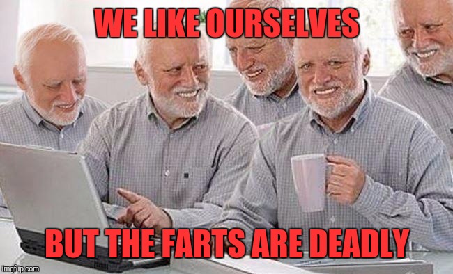 Harolds | WE LIKE OURSELVES; BUT THE FARTS ARE DEADLY | image tagged in harolds | made w/ Imgflip meme maker