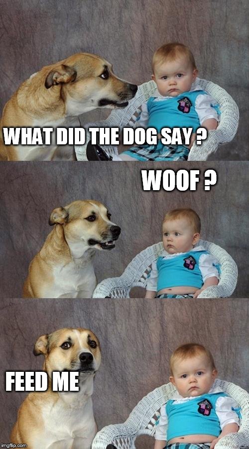 Dad Joke Dog | WHAT DID THE DOG SAY ? WOOF ? FEED ME | image tagged in memes,dad joke dog | made w/ Imgflip meme maker