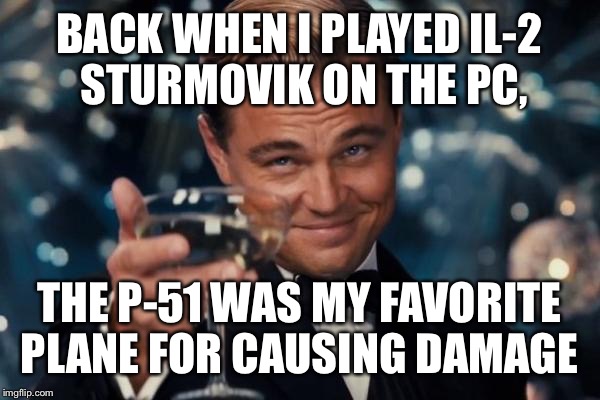 Leonardo Dicaprio Cheers Meme | BACK WHEN I PLAYED IL-2 STURMOVIK ON THE PC, THE P-51 WAS MY FAVORITE PLANE FOR CAUSING DAMAGE | image tagged in memes,leonardo dicaprio cheers | made w/ Imgflip meme maker