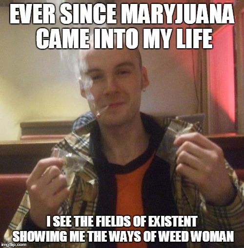 MaryJuana | EVER SINCE MARYJUANA CAME INTO MY LIFE; I SEE THE FIELDS OF EXISTENT SHOWIMG ME THE WAYS OF WEED WOMAN | image tagged in weed woman mary juana | made w/ Imgflip meme maker