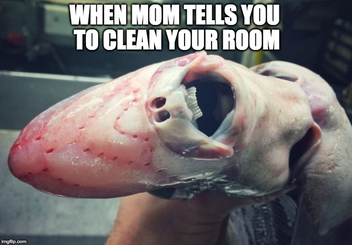 WHEN MOM TELLS YOU TO CLEAN YOUR ROOM | image tagged in when mom tells you to | made w/ Imgflip meme maker