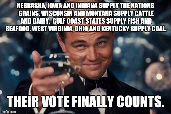 Leonardo Dicaprio Cheers Meme | NEBRASKA, IOWA AND INDIANA SUPPLY THE NATIONS GRAINS. WISCONSIN AND MONTANA SUPPLY CATTLE AND DAIRY.  GULF COAST STATES SUPPLY FISH AND SEAF | image tagged in memes,leonardo dicaprio cheers | made w/ Imgflip meme maker