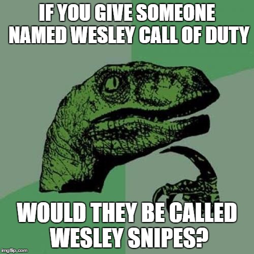 Modern Philosophies  | IF YOU GIVE SOMEONE NAMED WESLEY CALL OF DUTY; WOULD THEY BE CALLED WESLEY SNIPES? | image tagged in memes,philosoraptor | made w/ Imgflip meme maker