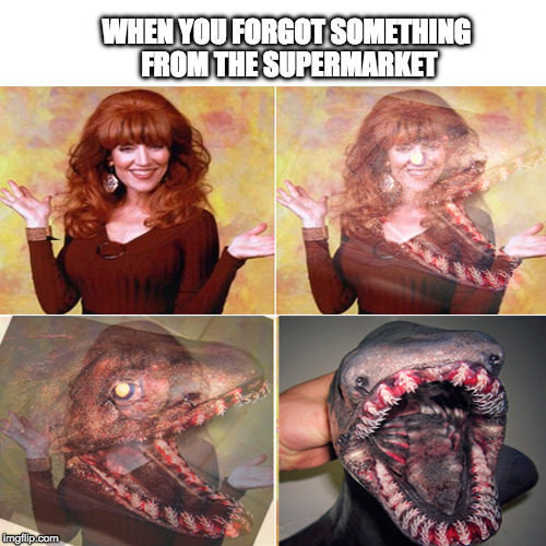 Angry wife- when you forgot something | WHEN YOU FORGOT SOMETHING FROM THE SUPERMARKET | image tagged in angry wife- when you forgot something | made w/ Imgflip meme maker