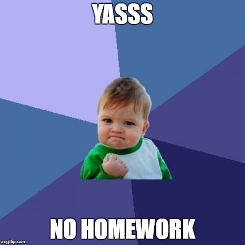 Success Kid | YASSS; NO HOMEWORK | image tagged in memes,success kid | made w/ Imgflip meme maker
