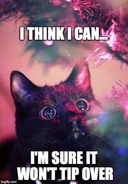 Christmas Cat | I THINK I CAN... I'M SURE IT WON'T TIP OVER | image tagged in christmas cat | made w/ Imgflip meme maker