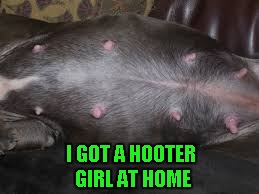 I GOT A HOOTER GIRL AT HOME | made w/ Imgflip meme maker