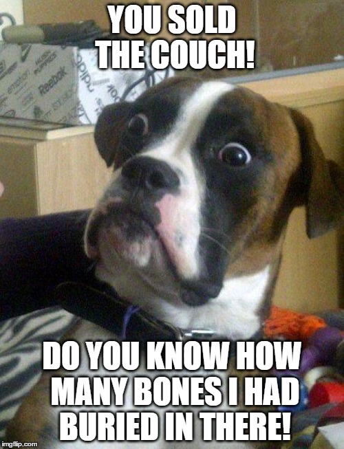Blankie the Shocked Dog-Get it back!!! | YOU SOLD THE COUCH! DO YOU KNOW HOW MANY BONES I HAD BURIED IN THERE! | image tagged in blankie the shocked dog,memes,funny memes,funny dog memes | made w/ Imgflip meme maker