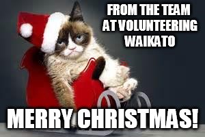 Grumpy Cat Christmas | FROM THE TEAM AT VOLUNTEERING WAIKATO; MERRY CHRISTMAS! | image tagged in grumpy cat christmas | made w/ Imgflip meme maker