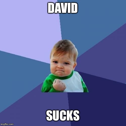 Success Kid Meme | DAVID; SUCKS | image tagged in memes,success kid | made w/ Imgflip meme maker