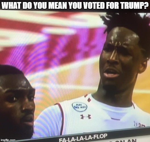 WHAT DO YOU MEAN YOU VOTED FOR TRUMP? | image tagged in wtf bruh,what do you mean | made w/ Imgflip meme maker