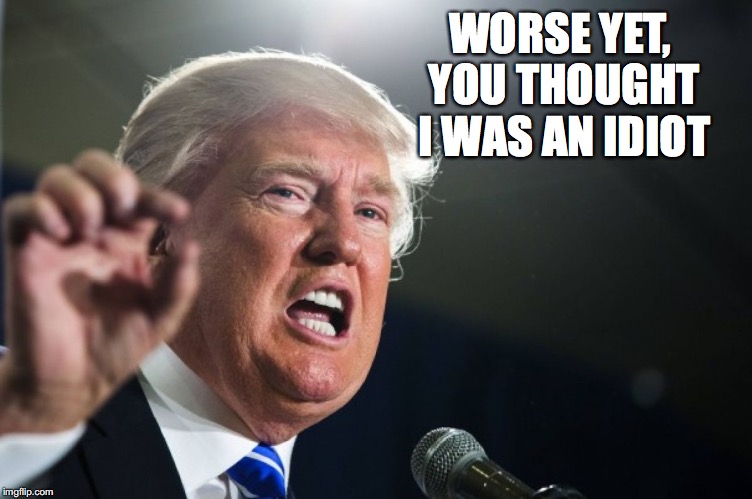 WORSE YET, YOU THOUGHT I WAS AN IDIOT | made w/ Imgflip meme maker