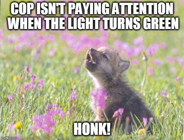 Baby Insanity Wolf Meme | COP ISN'T PAYING ATTENTION WHEN THE LIGHT TURNS GREEN; HONK! | image tagged in memes,baby insanity wolf | made w/ Imgflip meme maker