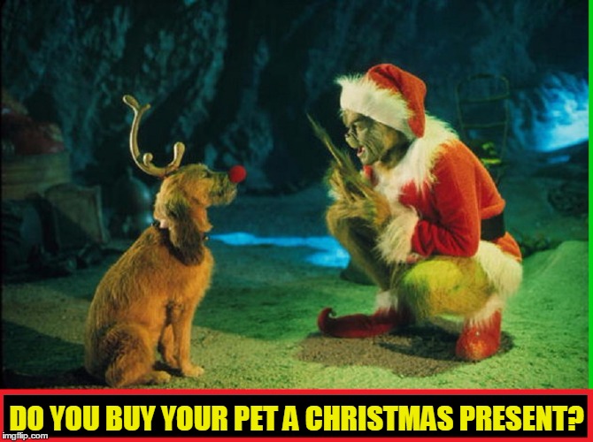 DO YOU BUY YOUR PET A CHRISTMAS PRESENT? | image tagged in vince vance,the grinch,the grinch jim carrey,the grinch's dog was named max,max was actually a female dog | made w/ Imgflip meme maker