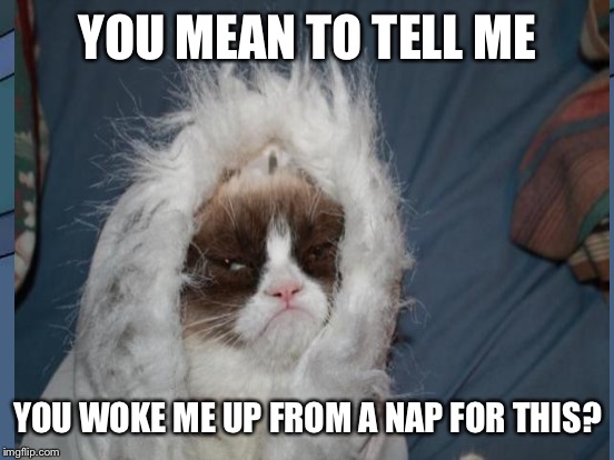 YOU MEAN TO TELL ME YOU WOKE ME UP FROM A NAP FOR THIS? | made w/ Imgflip meme maker