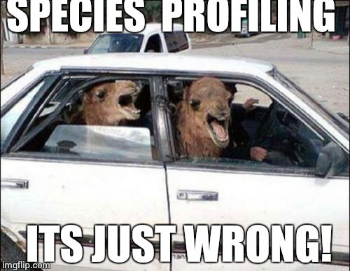 Quit Hatin Meme | SPECIES  PROFILING; ITS JUST WRONG! | image tagged in memes,quit hatin | made w/ Imgflip meme maker