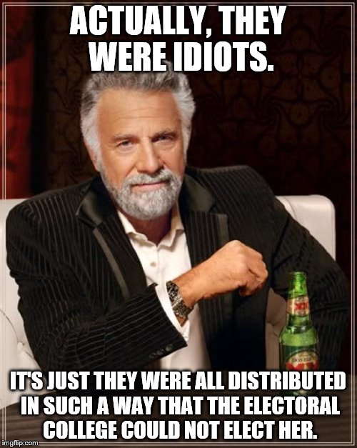 The Most Interesting Man In The World Meme | ACTUALLY, THEY WERE IDIOTS. IT'S JUST THEY WERE ALL DISTRIBUTED IN SUCH A WAY THAT THE ELECTORAL COLLEGE COULD NOT ELECT HER. | image tagged in memes,the most interesting man in the world | made w/ Imgflip meme maker